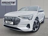 Audi e-tron 50 quattro advanced WR 360 Kamera Navigat