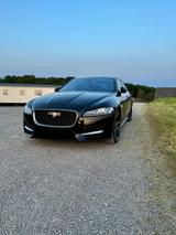 Jaguar XF 30d 300PS R-Sport Automatik Schiebedach - Jaguar XF 300-Sport