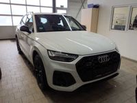 Audi SQ5 - Vorschau Bild 2