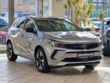 Opel Grandland (x) 1.2 Turbo Business Edition|KAMERA - Opel Grandland (X) in Solingen