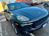 Porsche Cayenne S E-Hybrid Platinum | Sehr geringe km - Porsche Cayenne mit Hybrid-Antrieb: Geländewagen