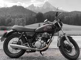 Yamaha SR 500  48T Scrambler - YAMAHA SR 500 48T