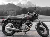 Yamaha SR 500  48T Scrambler - Offers matching your search criteria