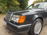Mercedes-Benz Mercedes W124 260e Sportline 6 Zylinder - Mercedes-Benz 260 aus 1991