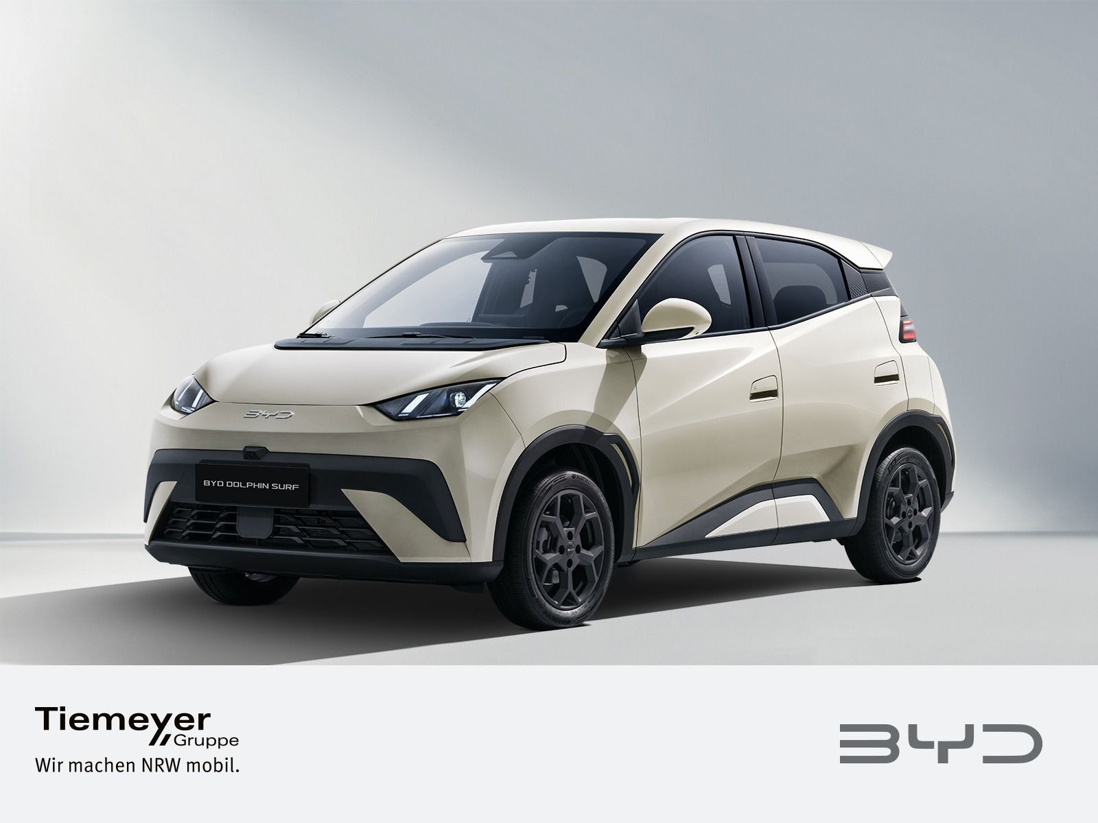BYD DOLPHIN SURF