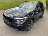 BMW X5 xDrive30d M Sport AHK, Standhzg., Navi Pro - BMW X5 in Chemnitz