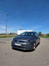 Volkswagen Golf 1.5 TGI Highline IQ.Drive BlueMotion DSG  - mit CNG-Antrieb: Kombi, Automatik