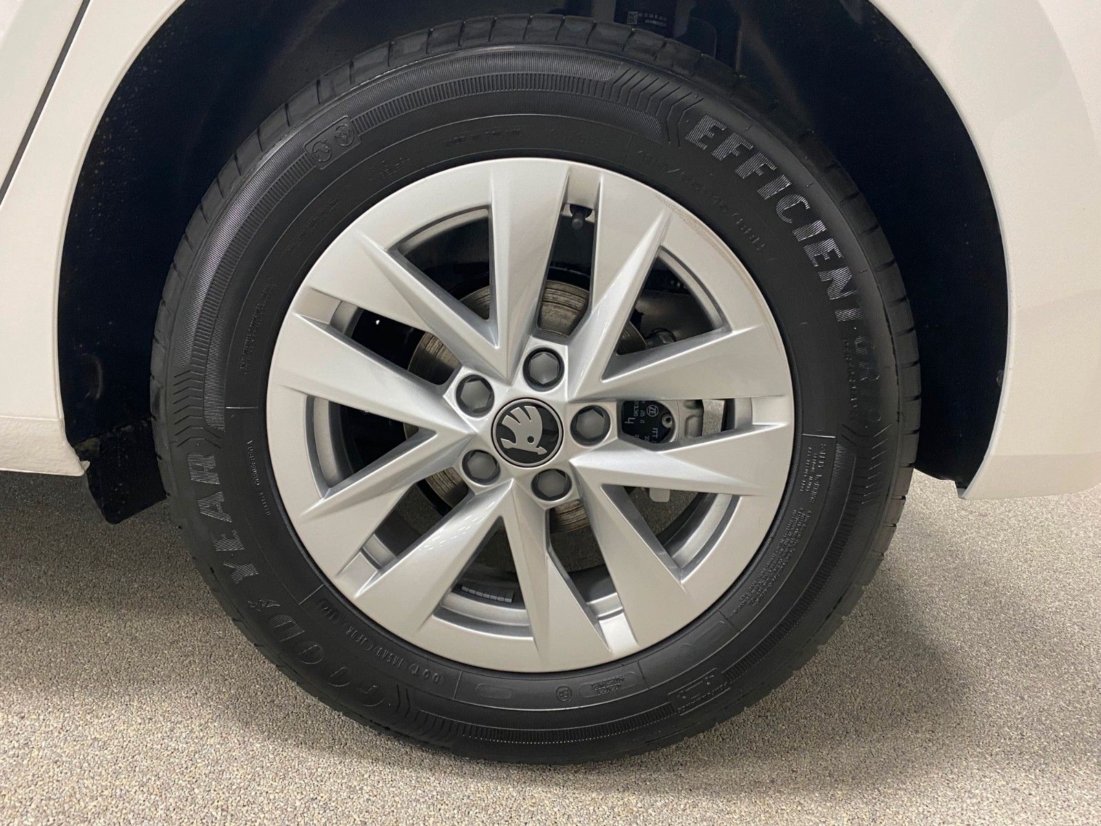 Fahrzeugabbildung SKODA Fabia 1.0l TSI DSG Selection+PDC+Alufelgen+LED++