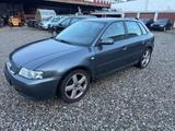 Audi A3 1.9TDI 96kW quattro - Audi A3 aus 2002: 1.9