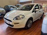 Fiat FIAT Punto 1.2 8V 5 porte Street - Fiat Punto: Street