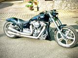 Yamaha Custom XV 1600 Wild Star - YAMAHA CUSTOM