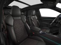 Audi SQ5 - Vorschau Bild 9