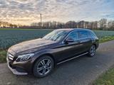 Mercedes-Benz C 220 T d AVANTGARDE *AHK * SH+LED - Mercedes-Benz C 220: Braun