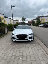 Jaguar XE P250 R-Dynamic / 2020 / Top-Auss... - Jaguar XE in Hamburg