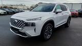 Hyundai SANTA FE Plug-in-Hybrid 1.6 T-GDi 4WD 6AT PRIME- - Hyundai SANTA FE: Prime