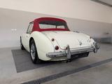 Austin Healey 100/6 (3000) - Austin Healey Gebrauchtwagen von 1959