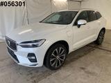 Volvo XC60 Mopf Inscription Plug-In ACC|360°|GlasD|20" - Volvo XC60 Inscription mit Hybrid-Antrieb (Benzin/Elektro)