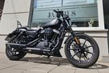 Harley-Davidson XL883N Iron- Jekyll & Hyde - NUR 1.250km - CHOPPER 250