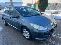 Peugeot 307 Grand Filou Cool