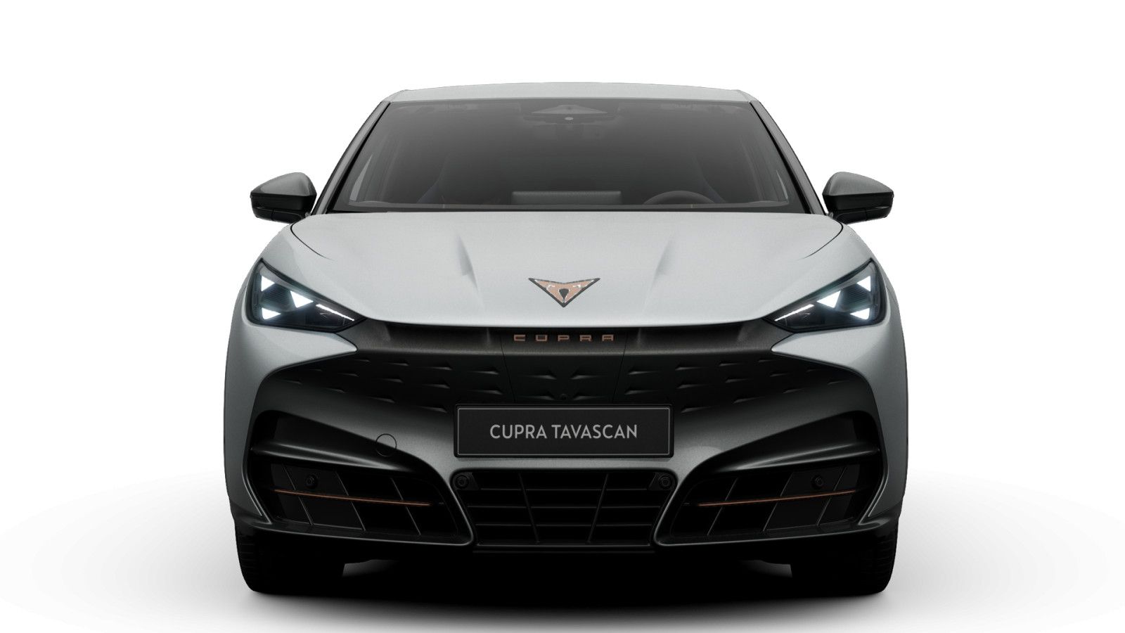 Cupra Tavascan Endurance 77 kWh imagem 3