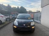 Fiat Panda Easy TÜV NEU*2.HAND*EFH - Fiat Panda Gebrauchtwagen in Duisburg