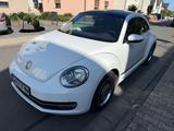 Volkswagen Beetle 1.2 TSI  CUP  - Volkswagen Beetle CUP mit Benzin-Antrieb