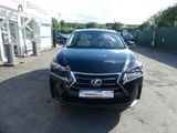 Lexus NX 300h 300h E-Four Automatik Pano - Lexus mit Hybrid-Antrieb: Allradantrieb