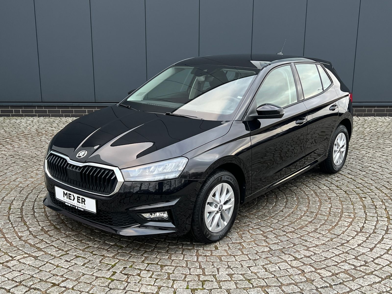 Fahrzeugabbildung SKODA Fabia Selection Edition 130 1.0 TSI DSG *Garanti