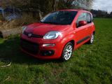 Fiat New Panda 1.2 8V LOUNGE Zahnriemen ern.3.25 - Fiat New Panda aus 2017