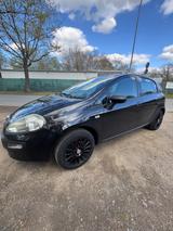 Fiat Punto Evo 1.4 8V Dynamic Dynamic - Fiat Punto Evo in Frankfurt (Main)
