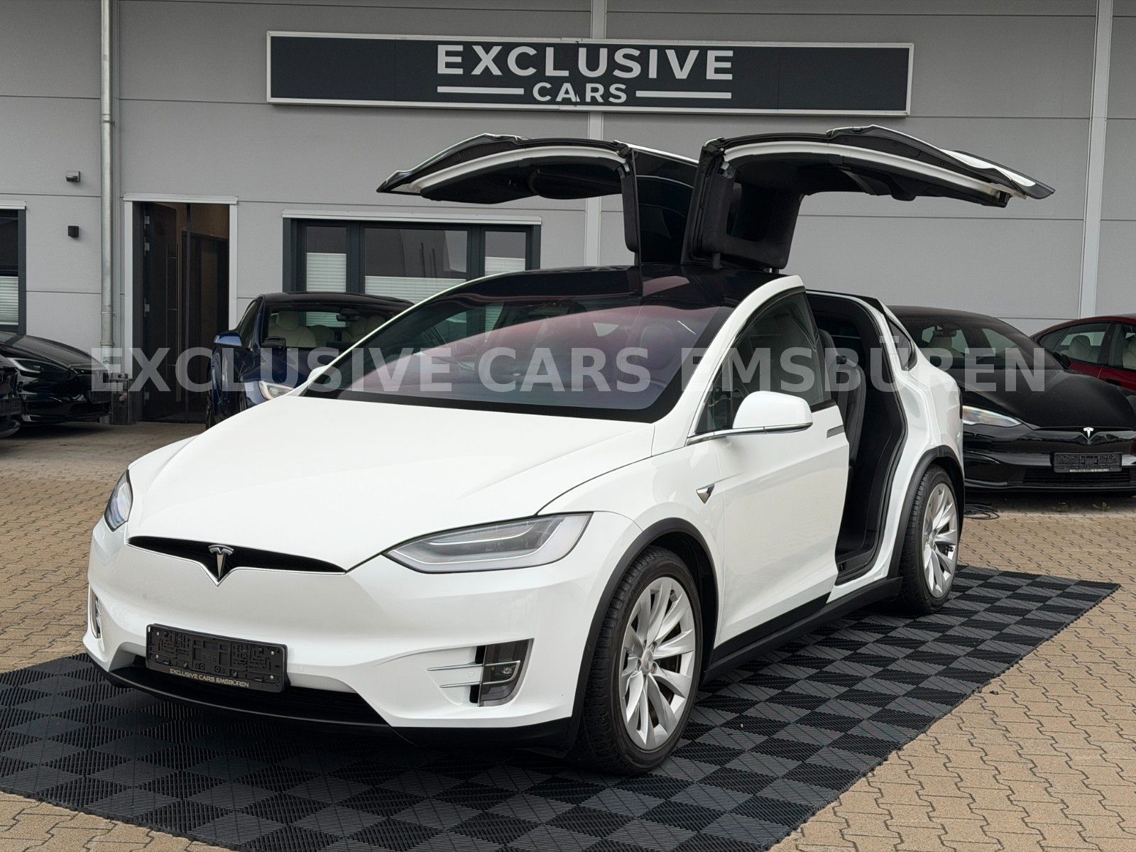 Tesla MODEL X LONG RAVEN LONG RANGE DUAL MOTOR
