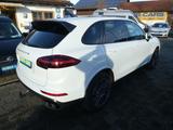 Porsche Cayenne Diesel Platinum Edition 20"+Bose+BiXenon - Porsche Cayenne: Platinum Edition