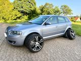 Audi A3 Sportback 1.6 Automatik 18 Zoll Fe... - Audi A3 aus 2004: 1.6