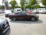 Ford Mustang 2.3 EcoBoost Auto - Ford Mustang Gebrauchtwagen in Düsseldorf
