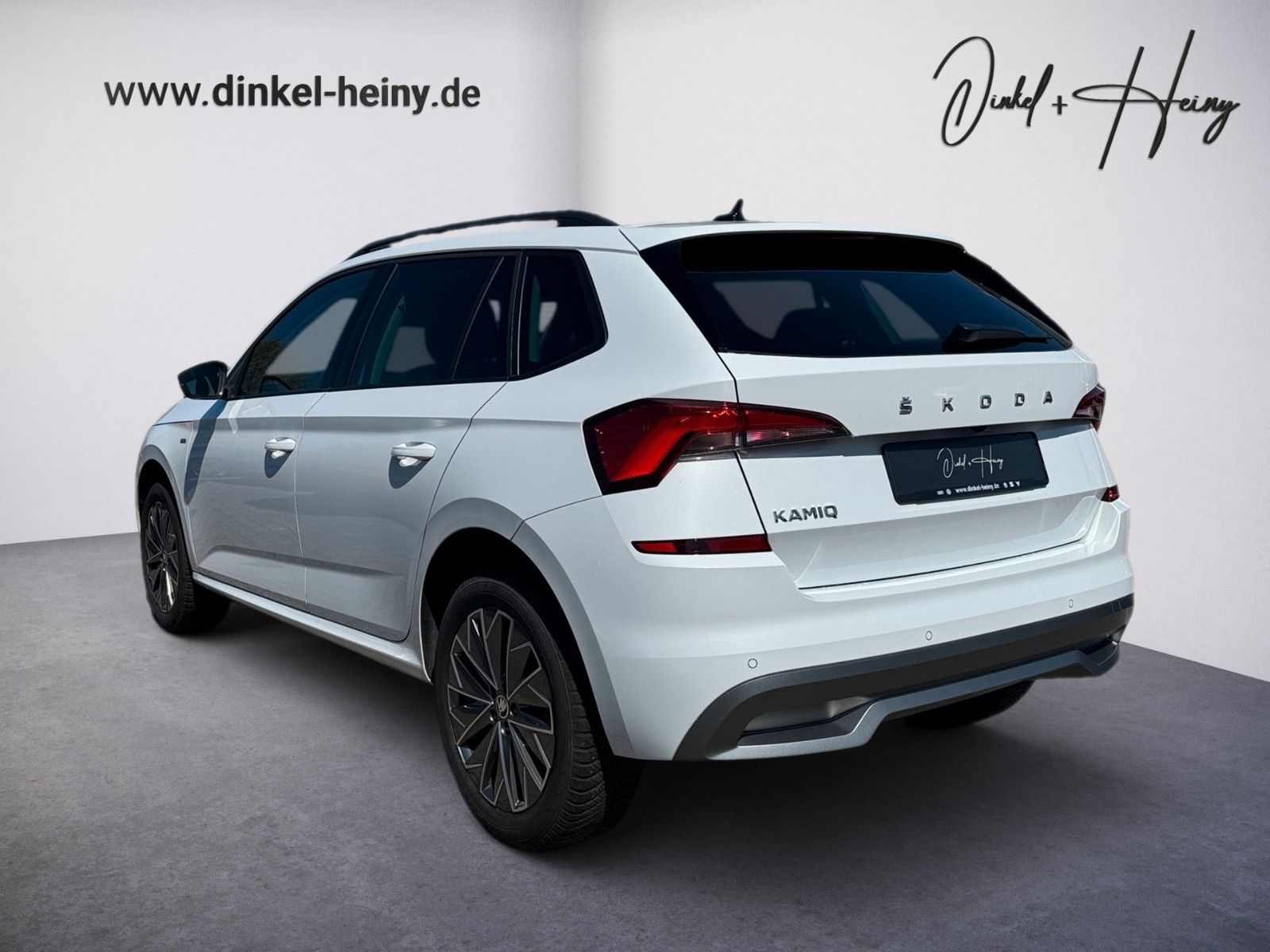 Fahrzeugabbildung SKODA Kamiq Ambition Tour 1.5 TSI