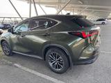 Lexus NX 350h *360° Kamera* Leder*Memory*MwSt*MY25     - Lexus aus 2024: Nx