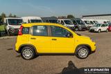 Fiat Panda Panda Hybrid 1.0 GSE 51kw (70PS) - Fiat Panda mit Hybrid-Antrieb
