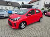 Kia Picanto Edition 7 **Sehr gepflegt** - Kia Picanto: Edition 7