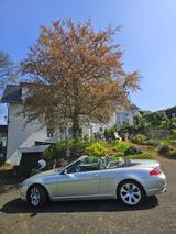 BMW 645 CICABRIO 8 Zyl_EZL-18.05.2004-TÜV+... - BMW 645 Gebrauchtwagen