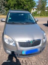 Skoda Rooster Scout - Skoda aus 2010: Scout