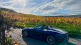 Porsche 718 Spyder 1.Hand, Approved, Service neu