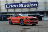 Ford Mustang 2.3 EcoBoost  Privatverkauf - : Privatverkauf
