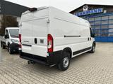 Fiat DUCATO KASTENWAGEN MAXI 35 L3H2 140 MT - Fiat Kastenwagen hoch + lang Ducato maxi