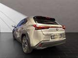 Lexus UX 250h*STYLE*1HAND*CARPLAY*MwSt* - Lexus UX in Duisburg