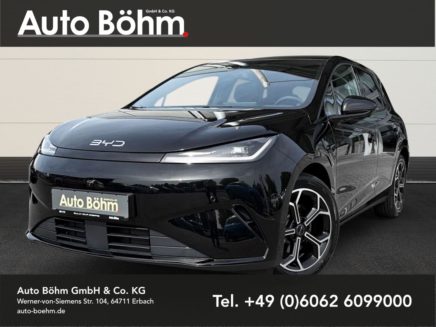 BYD DOLPHIN