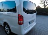 Mercedes-Benz Vito 114 CDI  - : Van, Mercedes