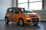 Fiat Panda Base *SHZ*KLIMA*SERVO* - Fiat Panda aus 2021