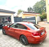 BMW 4er M Sonderedition  - BMW: 4er