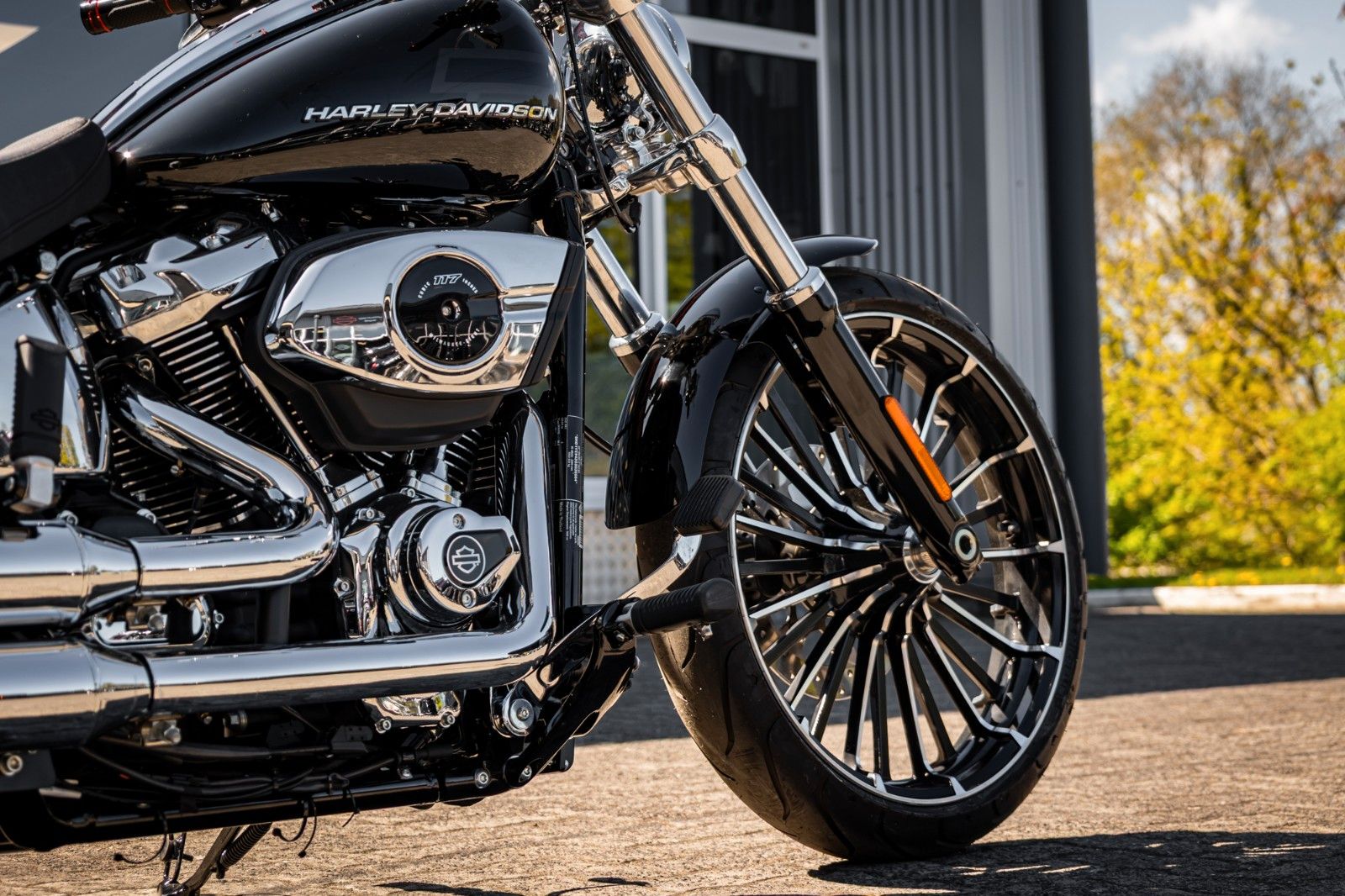 Fahrzeugabbildung Harley-Davidson BREAKOUT FXBR 117 ci - Jekill & Hyde