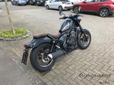 Honda CMX 500 Rebel Special-Edition Sofort Verfügbar - Offers matching your search criteria